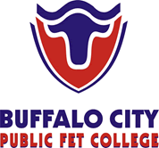 Buffalo City College